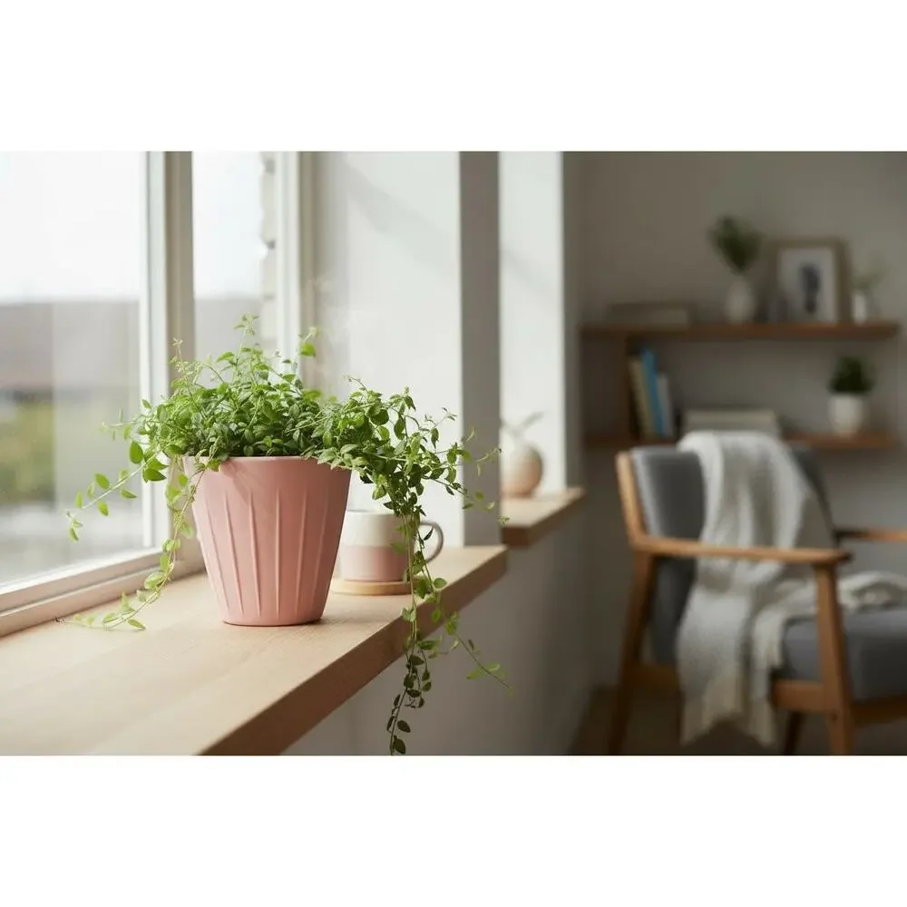 ceramic round pink flower pot